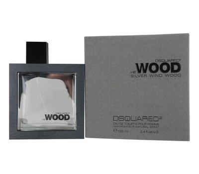 Dsquared2 He Wood Silver Wind Wood 106739