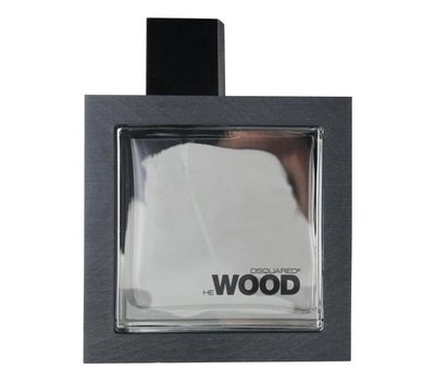 Dsquared2 He Wood Silver Wind Wood 106738