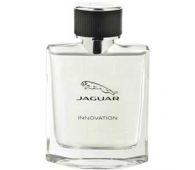 Jaguar Innovation 201045