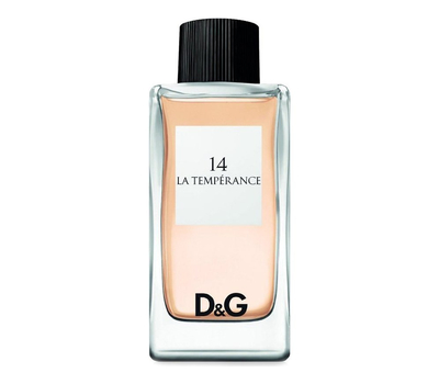 Dolce Gabbana (D&G) 14 La Temperance